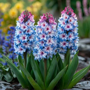 Гиацинт Пинк Мари купить по цене от 2099р. в интернет-магазине «Посадика» с доставкой почтой в в Ноябрьске и по всей России – [изображение №1].